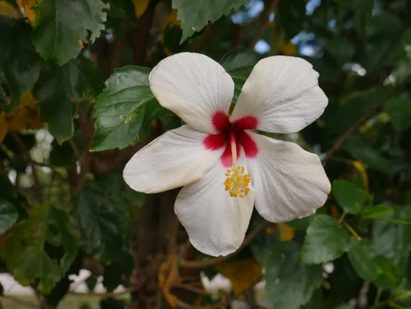 $4,000 | 4116 North Quail Ridge Drive, Unit A, Boynton Beach, FL 33436