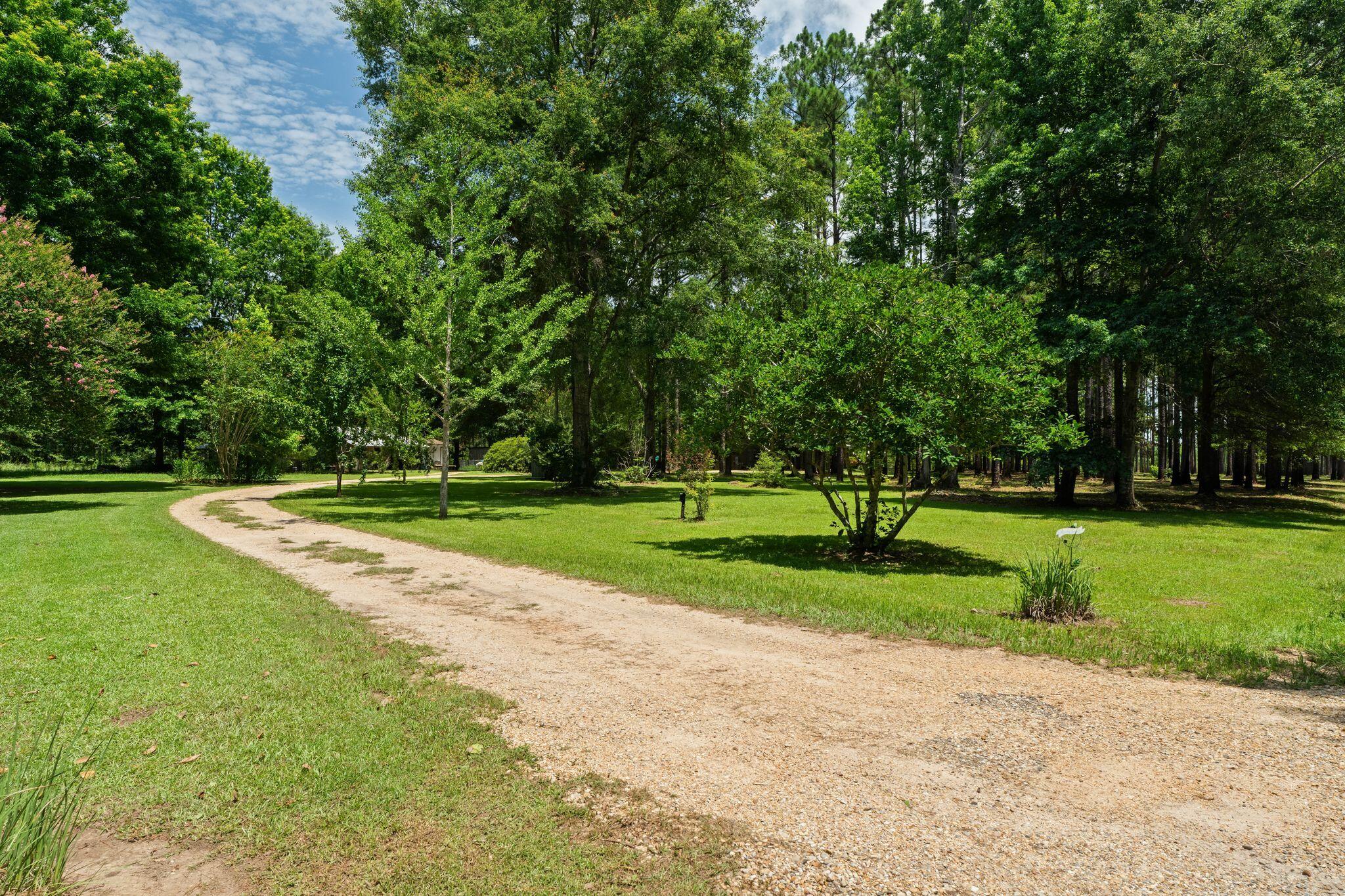 641 Lookout Tower Road Purvis, MS 39475 - Photo 5 of 62 Gallery Image 5