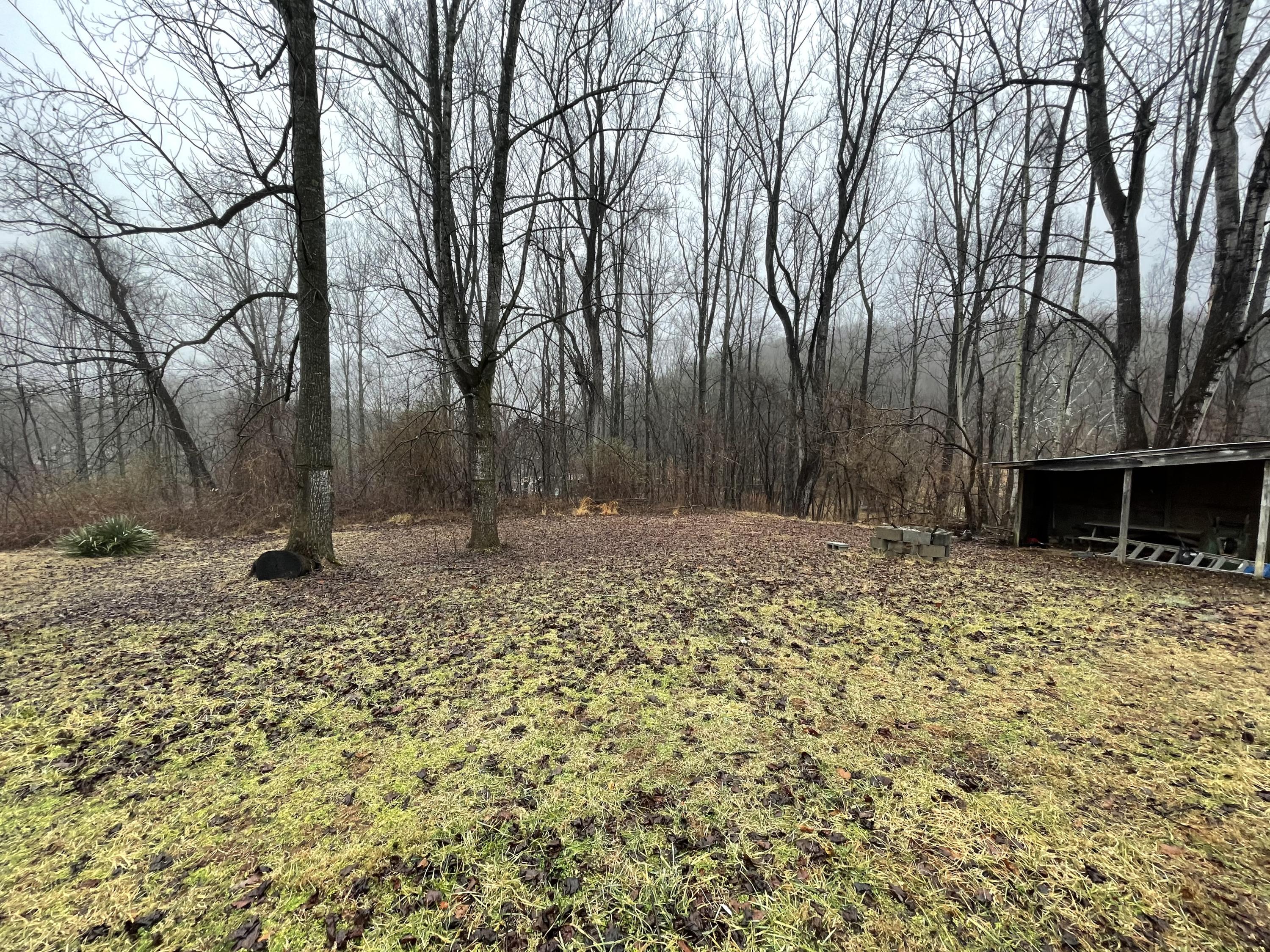 2830 Sha-Al Road Roanoke, VA 24014 - Photo 17 of 17 a backyard of a house with trees