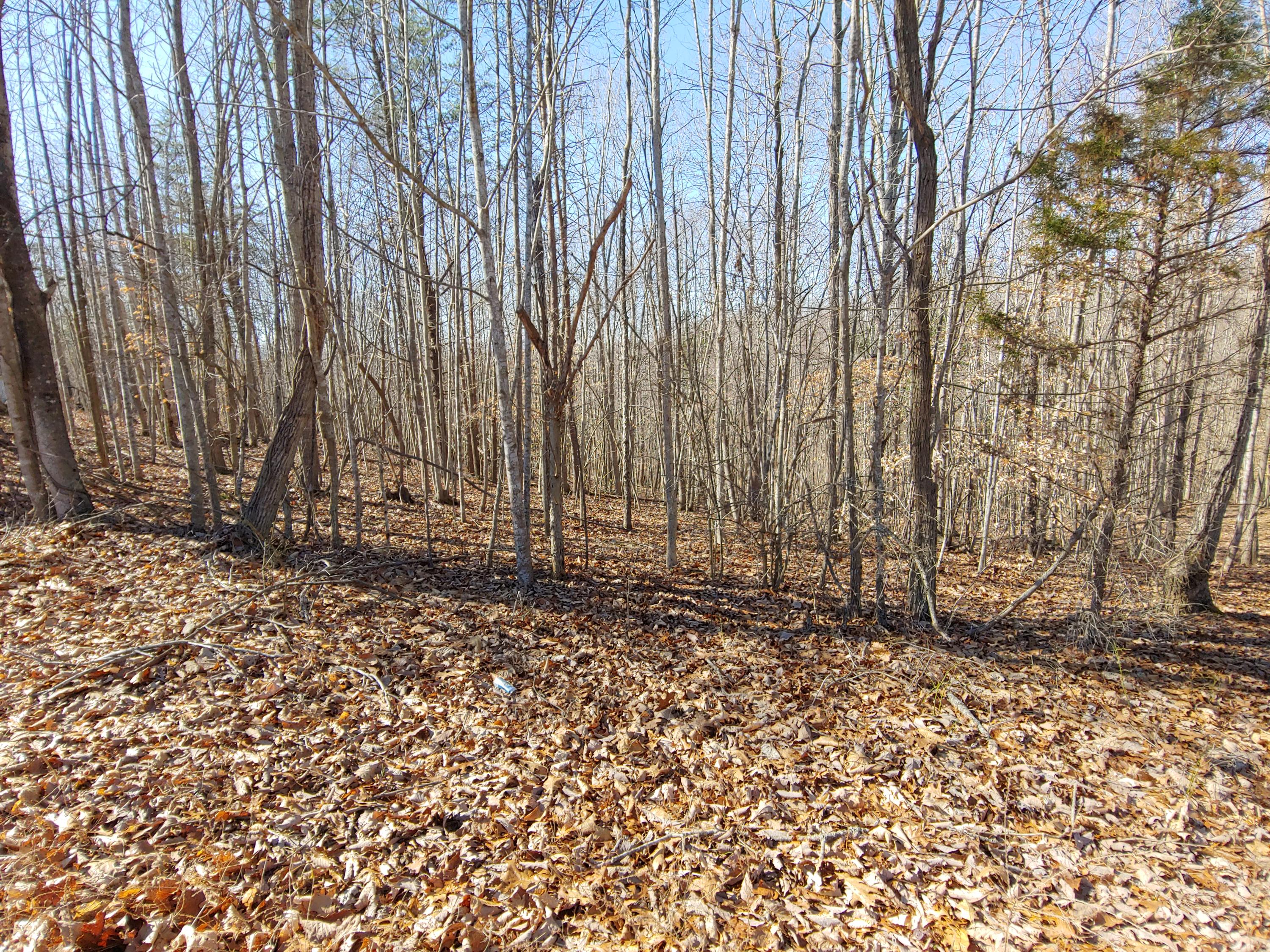 a view of wooden fence