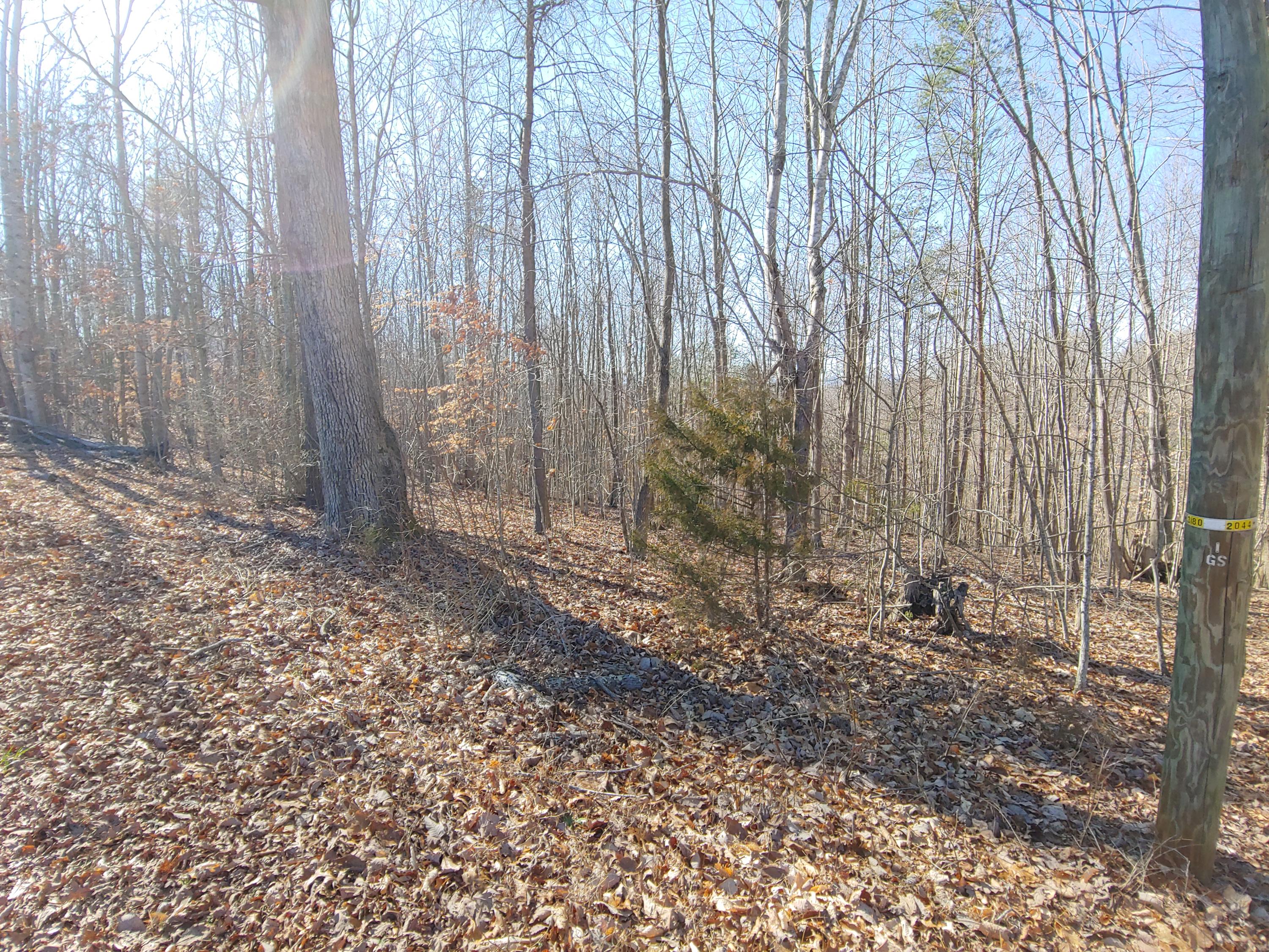 Lot 9 Horseshoe Bend Road Goodview, VA 24095 - Photo 3 of 3 a view of small space with wooden fence