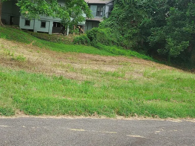 a backyard of a house with plants and large trees