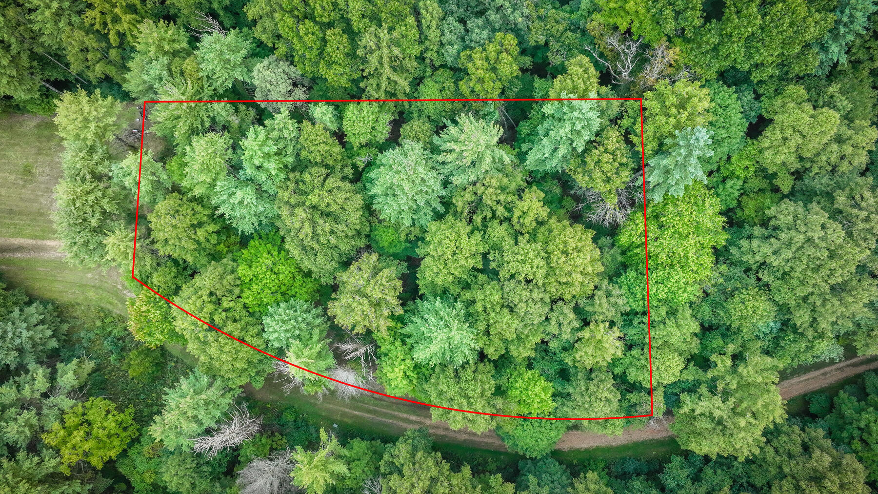 Lot 19 Raccoon Circle, Unit 19 Butler, TN 37640 - Photo 2 of 19 007