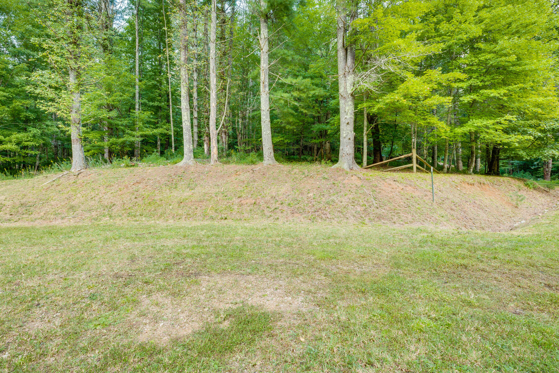 Lot 19 Raccoon Circle, Unit 19 Butler, TN 37640 - Photo 3 of 19 107