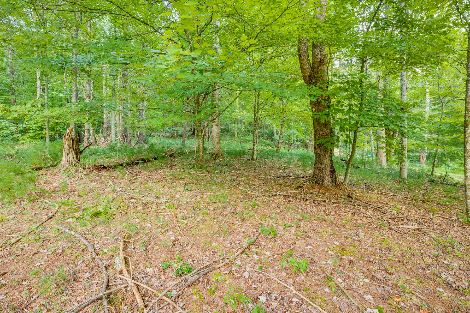 Lot 19 Raccoon Circle, Unit 19 Butler, TN 37640 - Photo 4 of 19 108