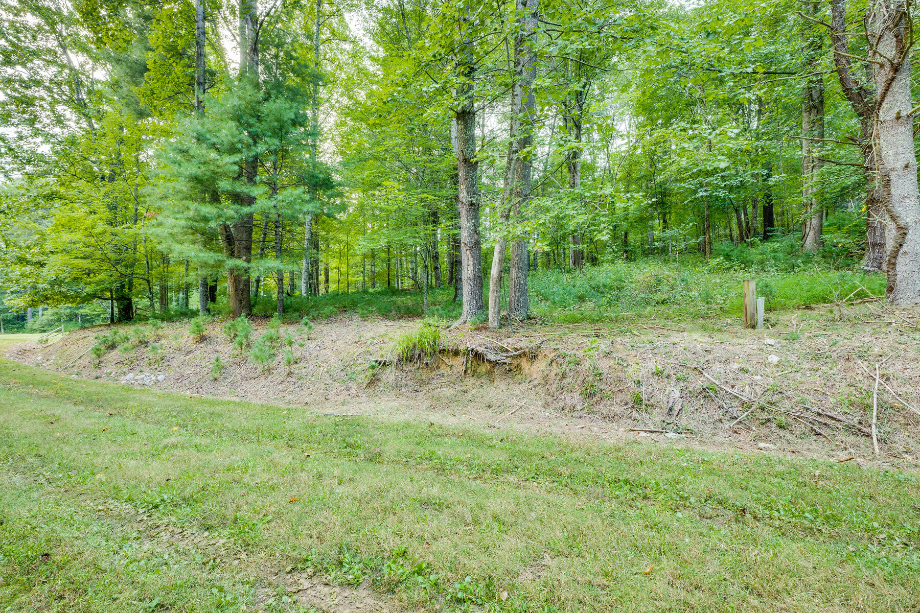 Lot 19 Raccoon Circle, Unit 19 Butler, TN 37640 - Photo 5 of 19 109