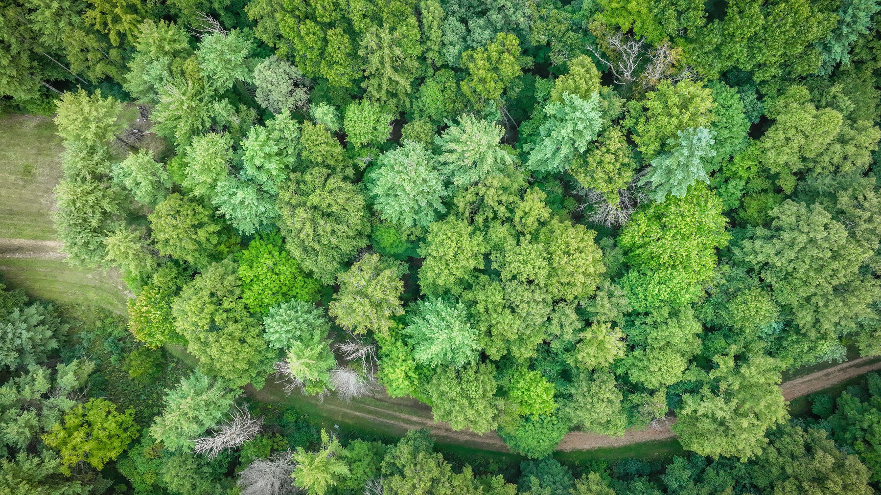 Lot 19 Raccoon Circle, Unit 19 Butler, TN 37640 - Photo 6 of 19 008