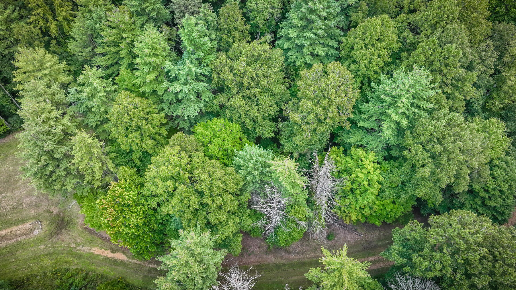 Lot 19 Raccoon Circle, Unit 19 Butler, TN 37640 - Photo 7 of 19 009