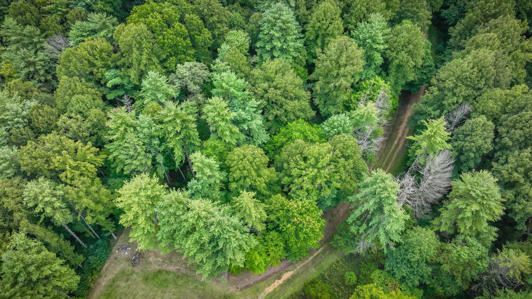 Lot 19 Raccoon Circle, Unit 19 Butler, TN 37640 - Photo 8 of 19 010
