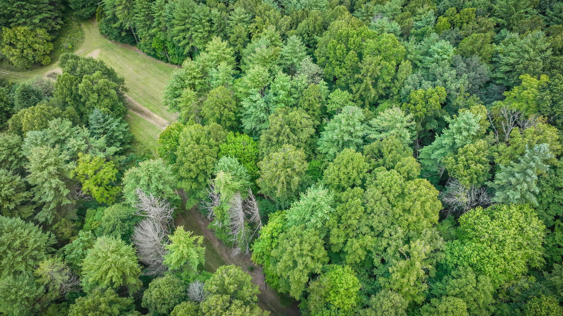 Lot 19 Raccoon Circle, Unit 19 Butler, TN 37640 - Photo 10 of 19 012