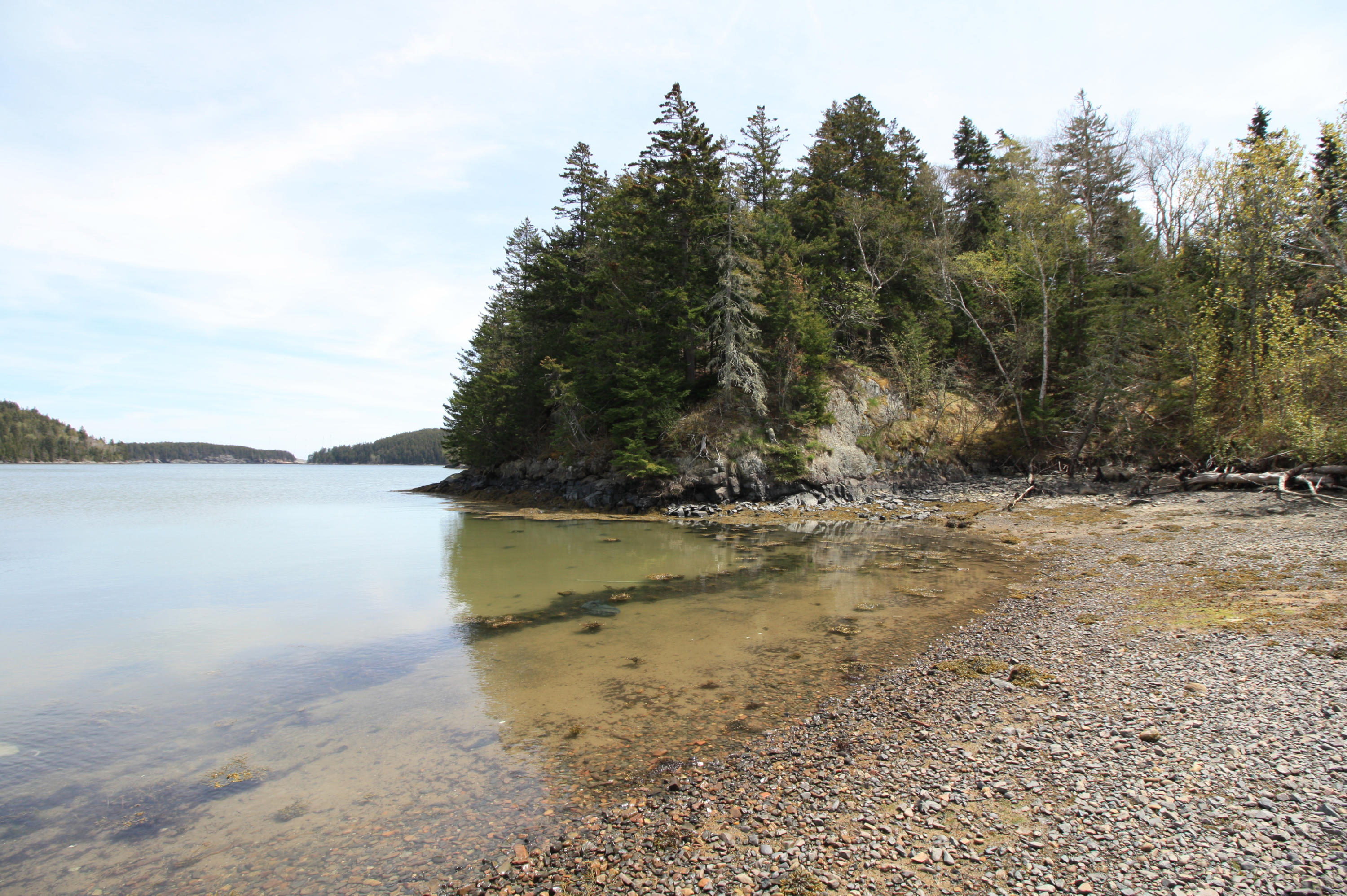 86 Smalls Point Road Machiasport, ME 04655 - Photo 5 of 28 IMG_6832