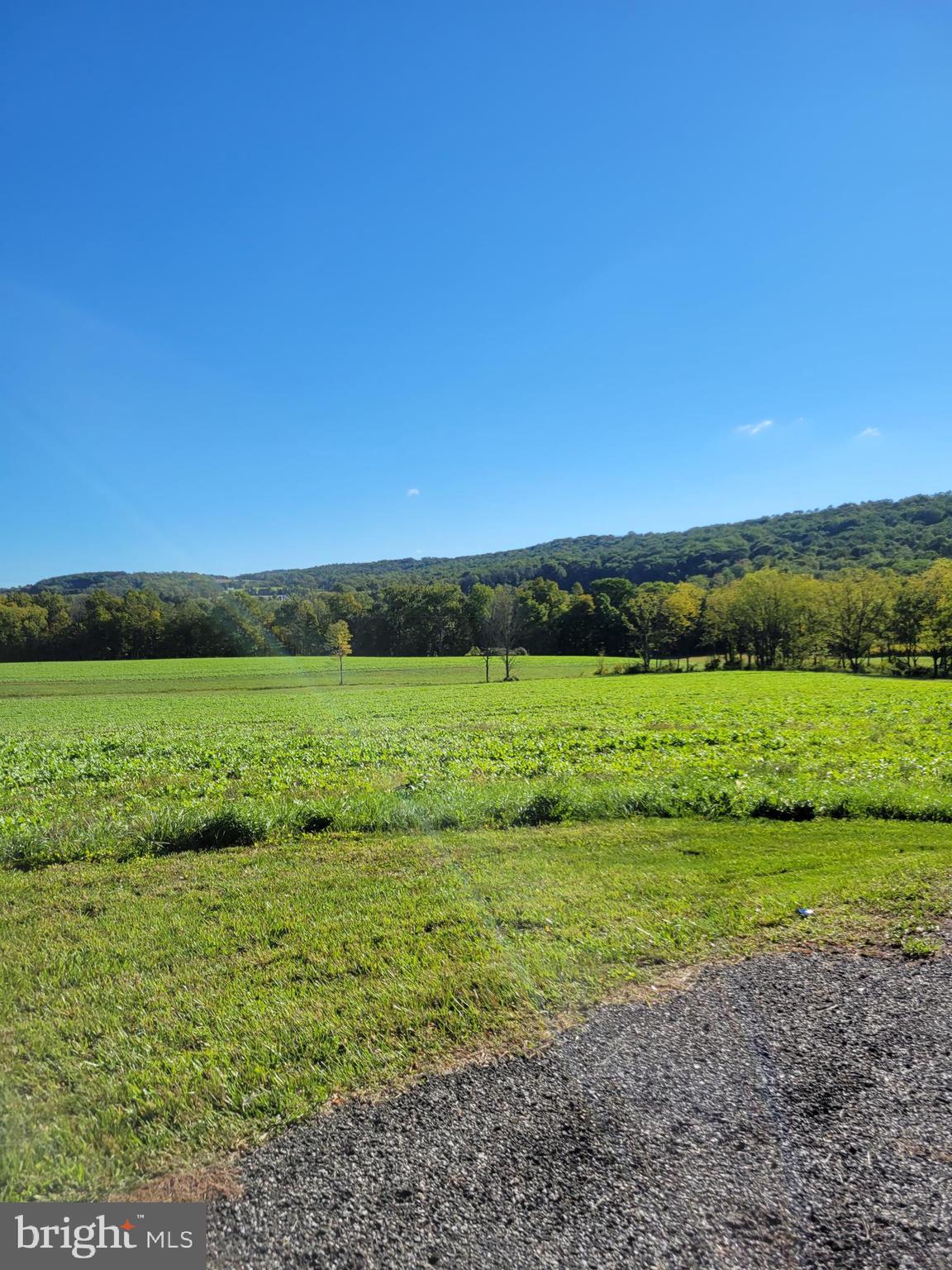 2095 Hosensack Road, Unit B Palm, PA 18070 - Photo 13 of 13 a view of a field with an ocean