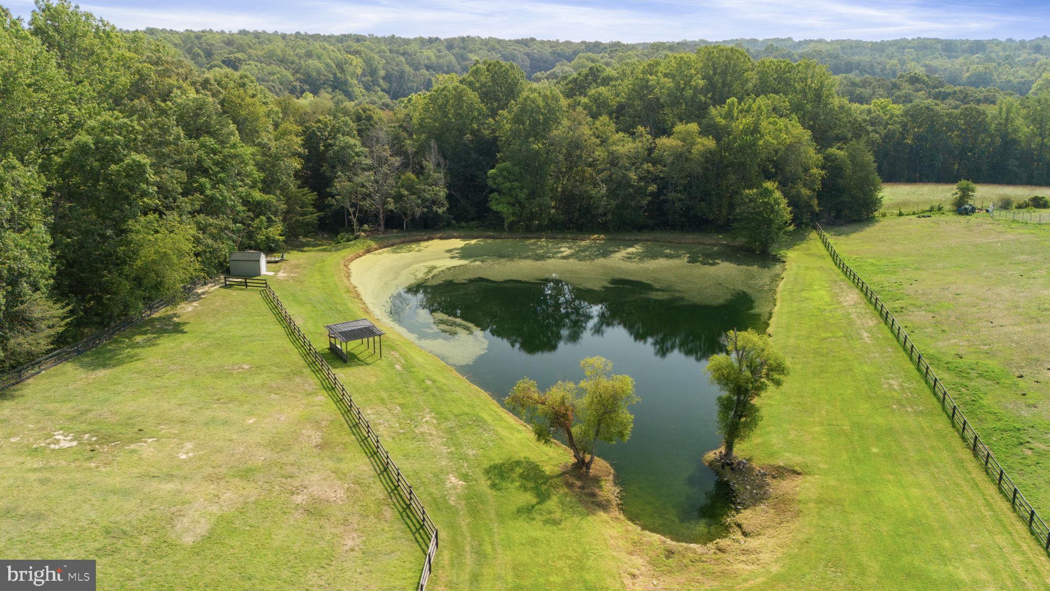 13401 Sillamon Road Goldvein, VA 22720 - Photo 2 of 52 Large pond located on property
