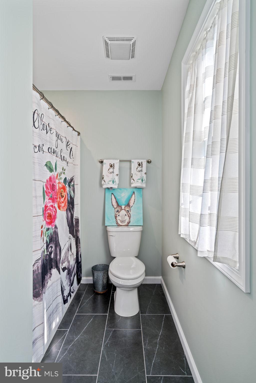 13401 Sillamon Road Goldvein, VA 22720 - Photo 28 of 52 Shared full bath on upper level