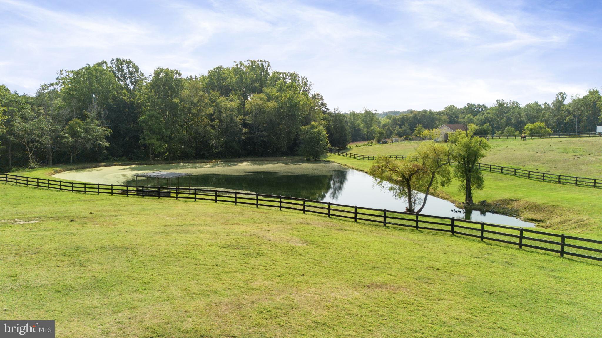 13401 Sillamon Road Goldvein, VA 22720 - Photo 39 of 52 Such a beautiful view of the pond