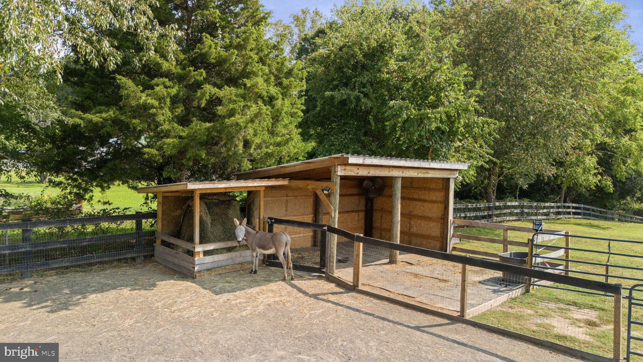 13401 Sillamon Road Goldvein, VA 22720 - Photo 40 of 52 Your farm animals will enjoy the accommodations