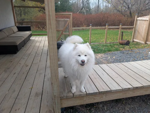 $229,000 | 14 Pleasant Street, Princeton, ME 04668