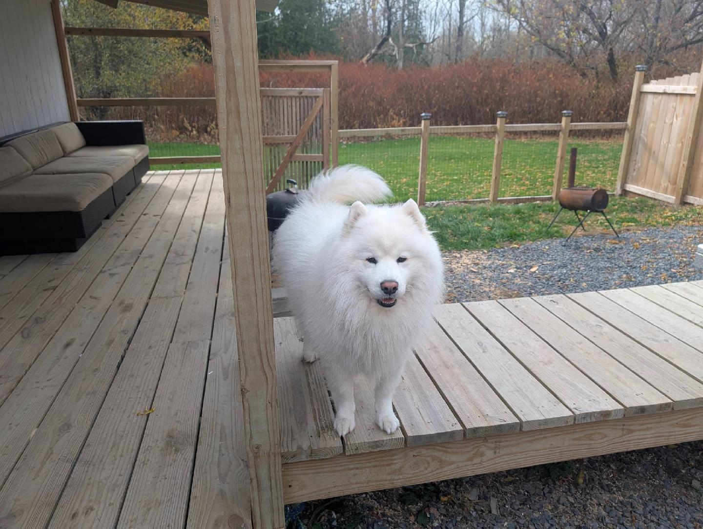 14 Pleasant Street Princeton, ME 04668 - Photo 34 of 37 123951(34)