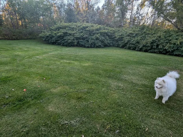 $229,000 | 14 Pleasant Street, Princeton, ME 04668