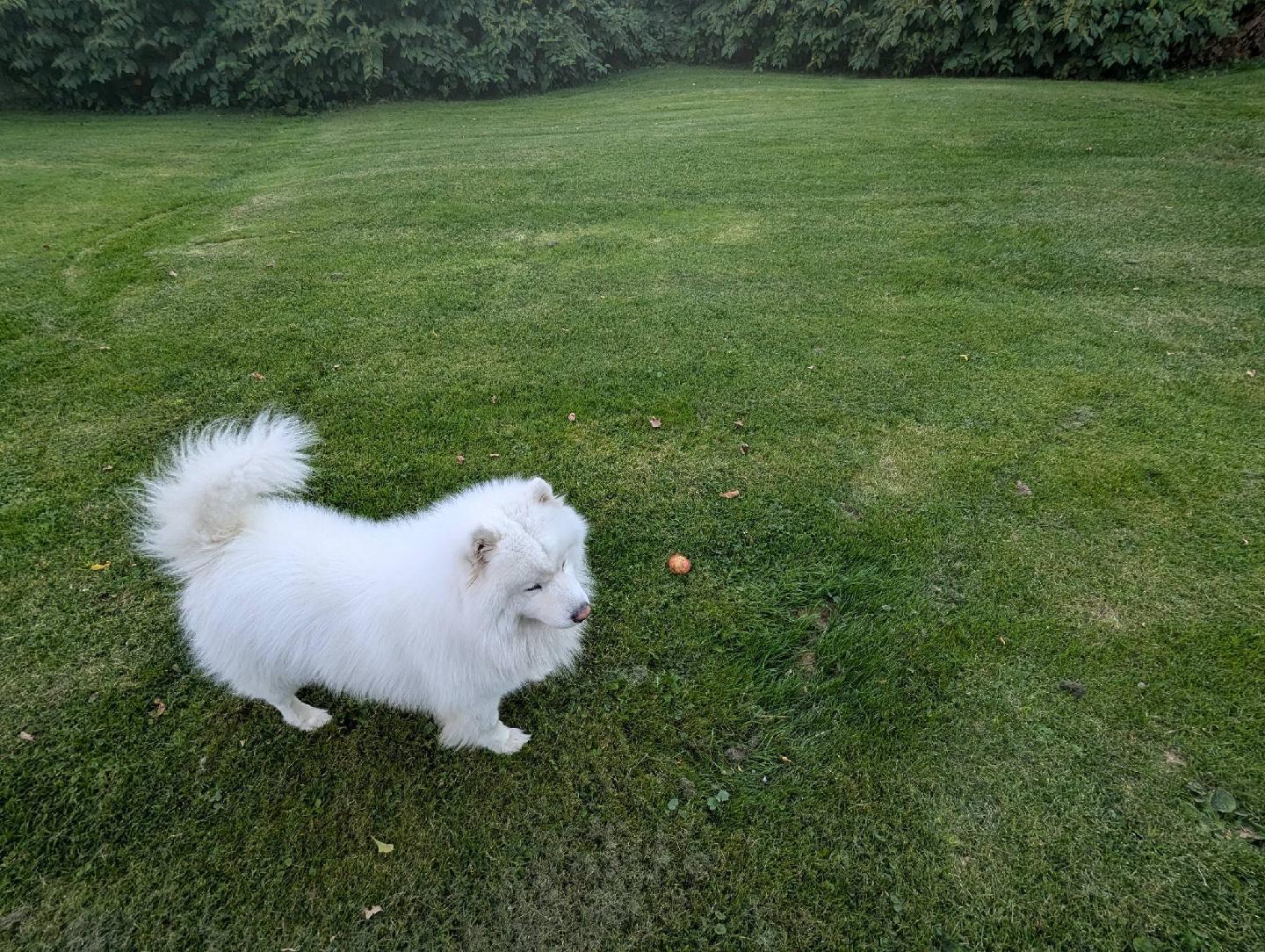 14 Pleasant Street Princeton, ME 04668 - Photo 38 of 39 123951(36)