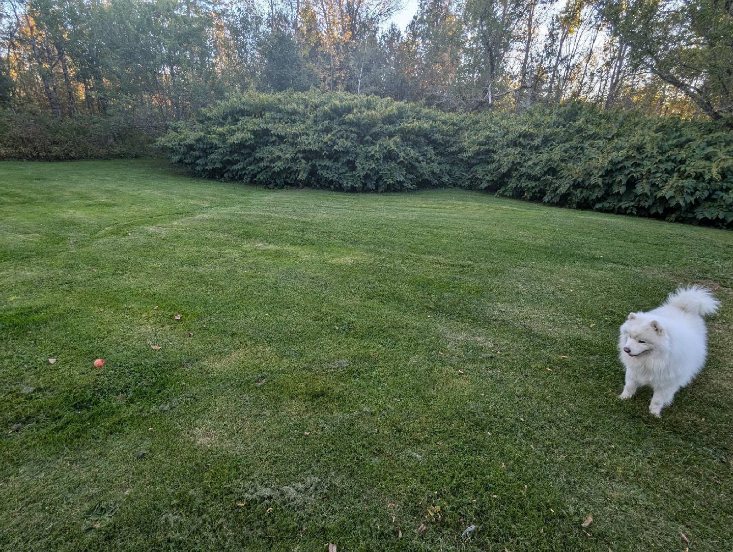 14 Pleasant Street Princeton, ME 04668 - Photo 39 of 39 123951(37)