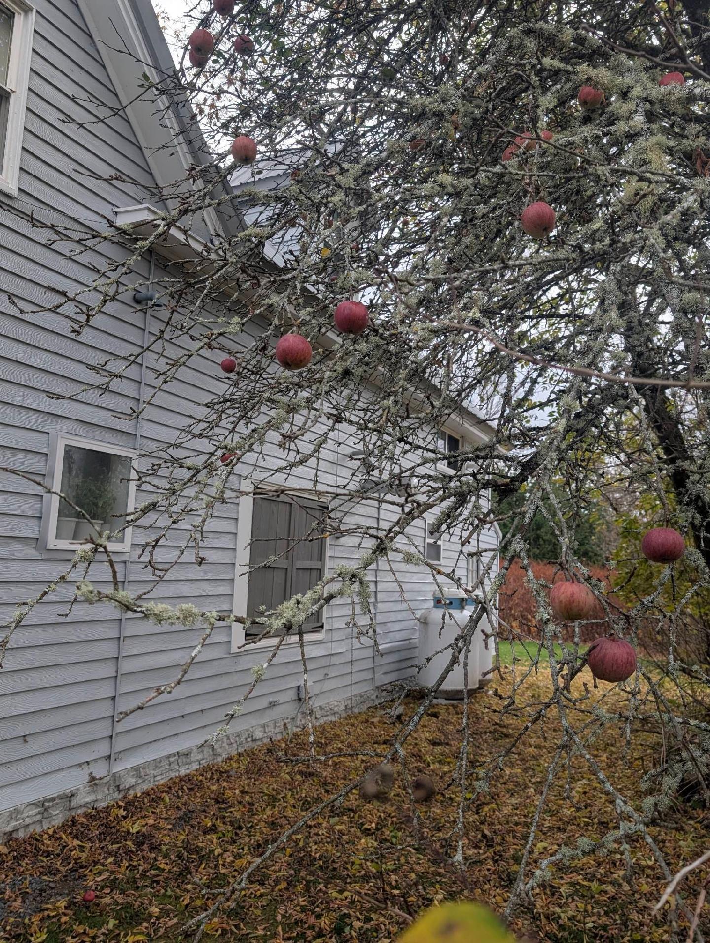 14 Pleasant Street Princeton, ME 04668 - Photo 4 of 39 123951(15)