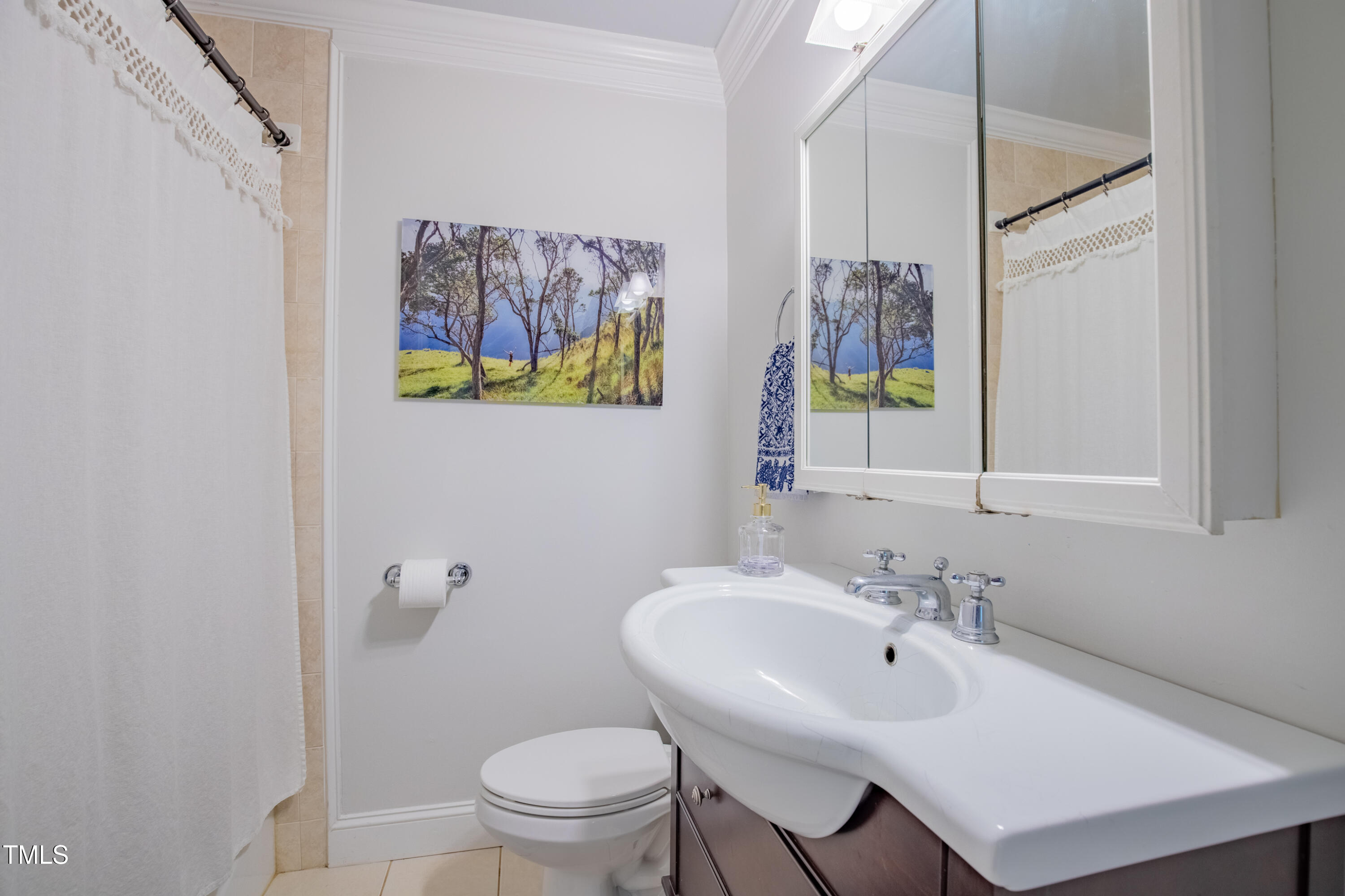 1714 Carson Street Raleigh, NC 27608 - Photo 26 of 38 a bathroom with a sink a toilet and mirror