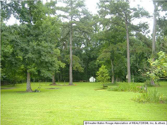32720 Perkins Road Denham Springs, LA 70706 - Photo 3 of 12