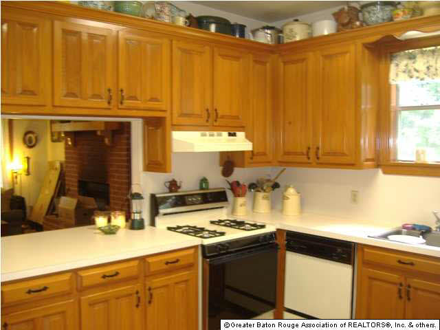 32720 Perkins Road Denham Springs, LA 70706 - Photo 4 of 12