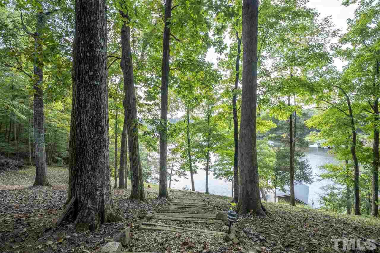 167 Hidden Hills Road Roxboro, NC 27574 - Photo 10 of 25 a view of a forest with trees