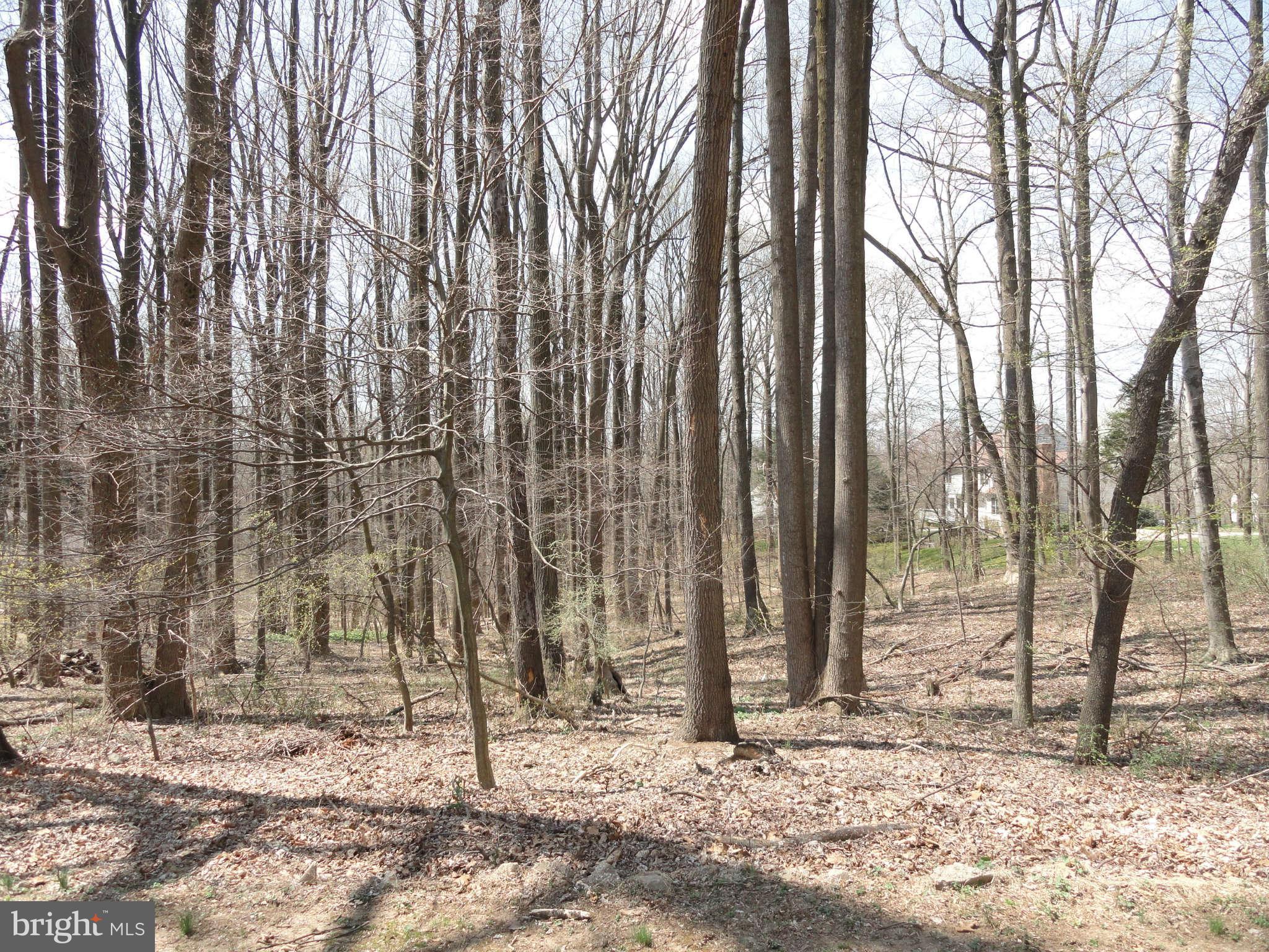6432 Lochridge Road Columbia, MD 21044 - Photo 23 of 26 View