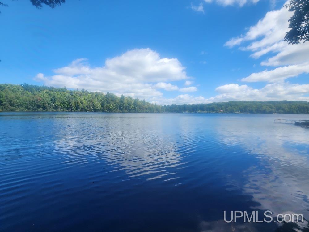Tbd West Tamarack Lake Road, Unit LOT 5 Watersmeet, MI 49969 - Photo 1 of 66