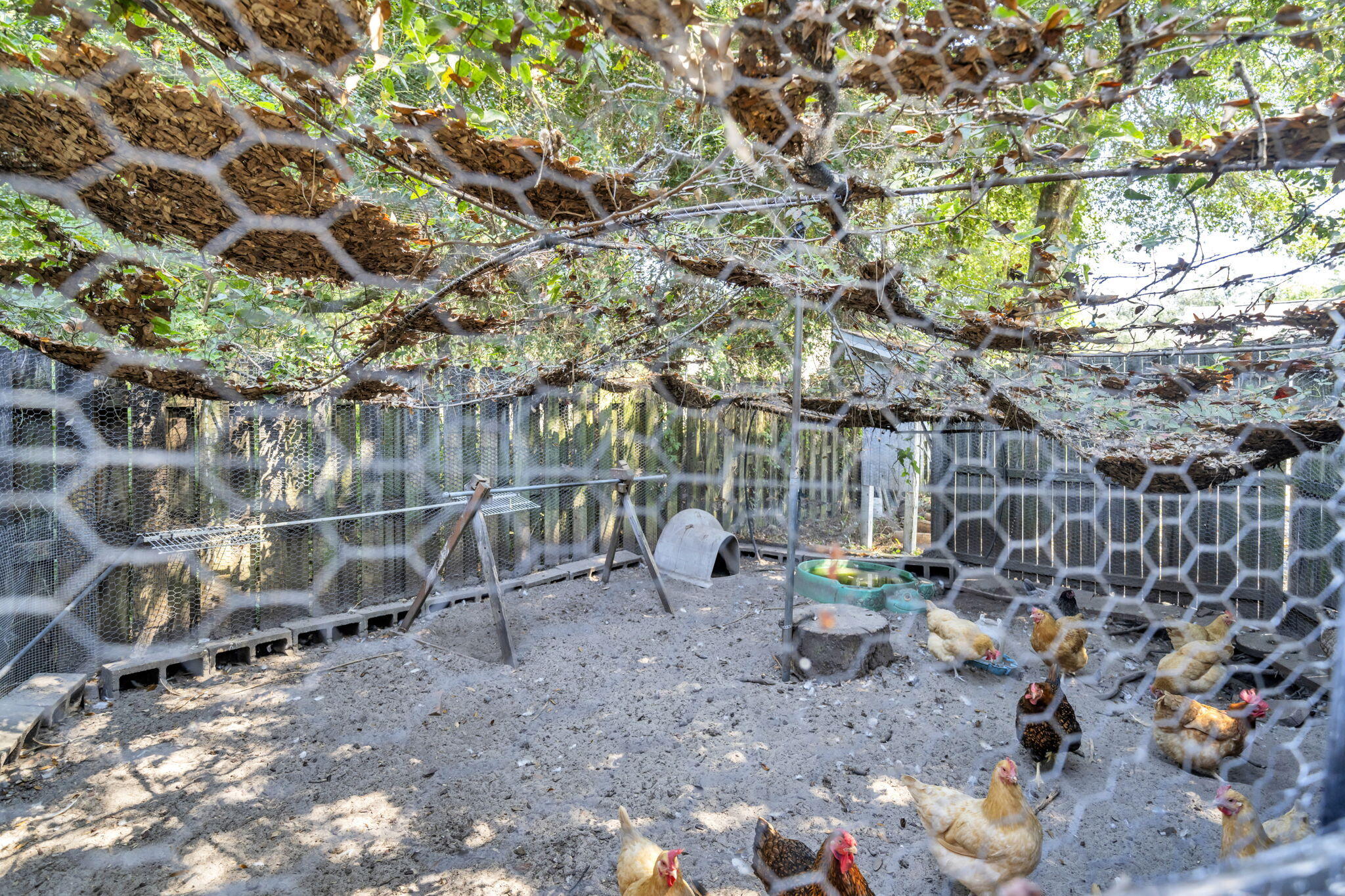 1871 Abercrombie Road Gulf Breeze, FL 32563 - Photo 29 of 32 Chicken Run
