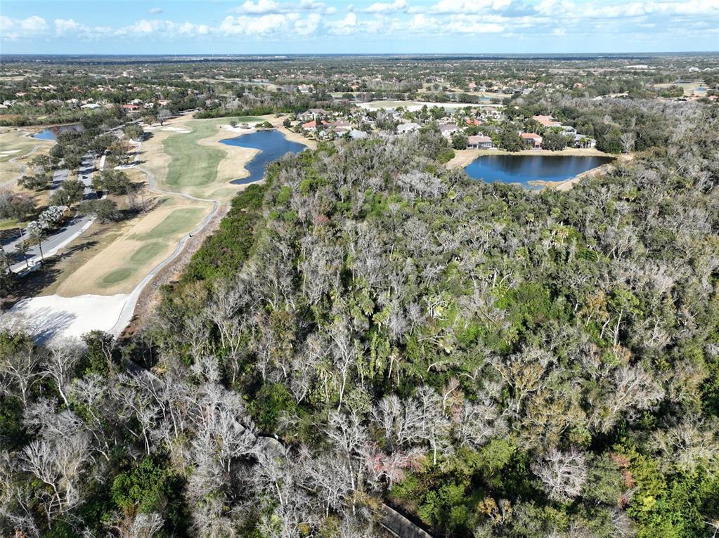 7703 British Open Way Lakewood Ranch, FL 34202 - Photo 60 of 64