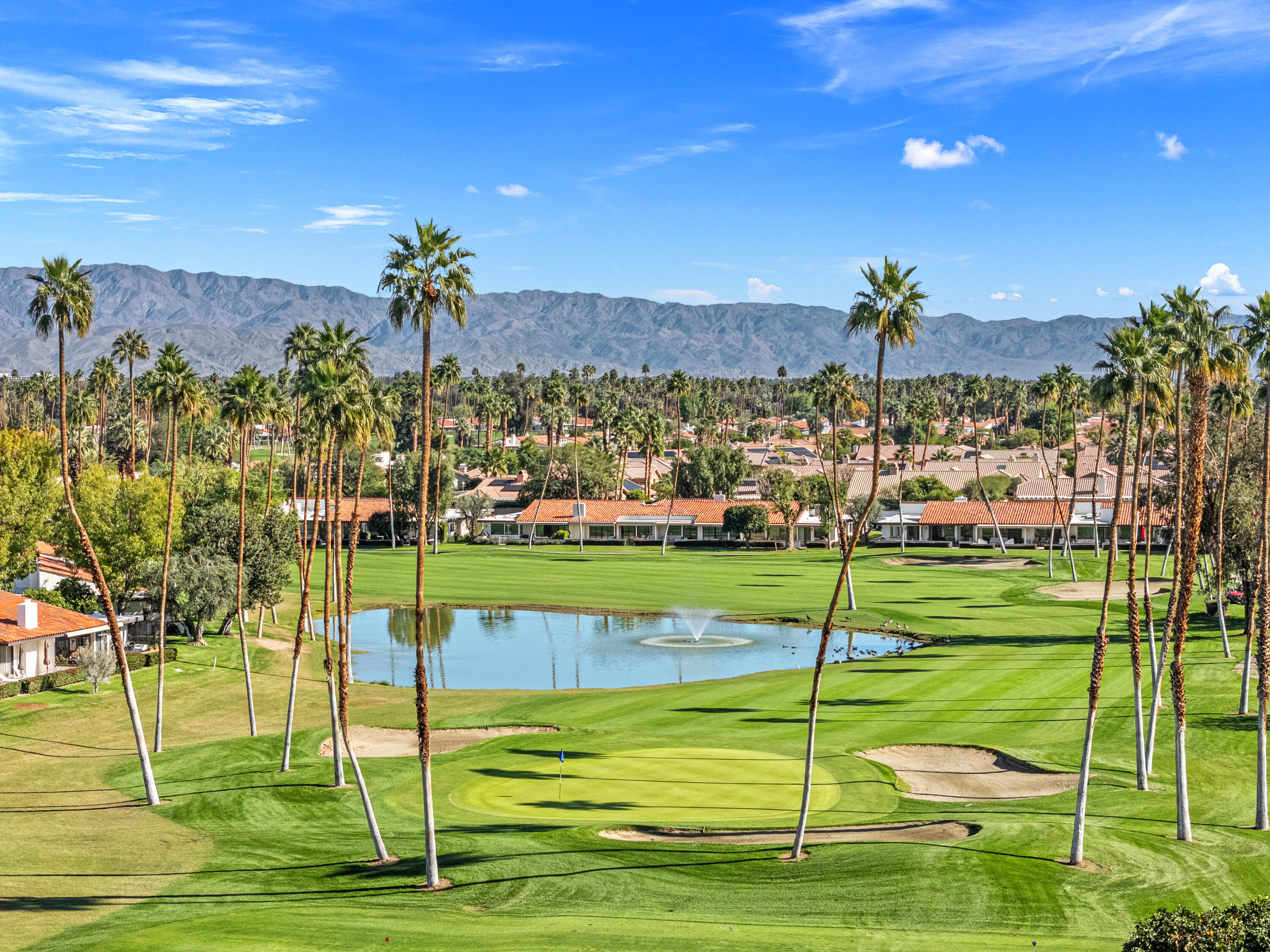 53 Marbella Drive Rancho Mirage, CA 92270 - Photo 43 of 45 a view of a big yard with plants and large trees