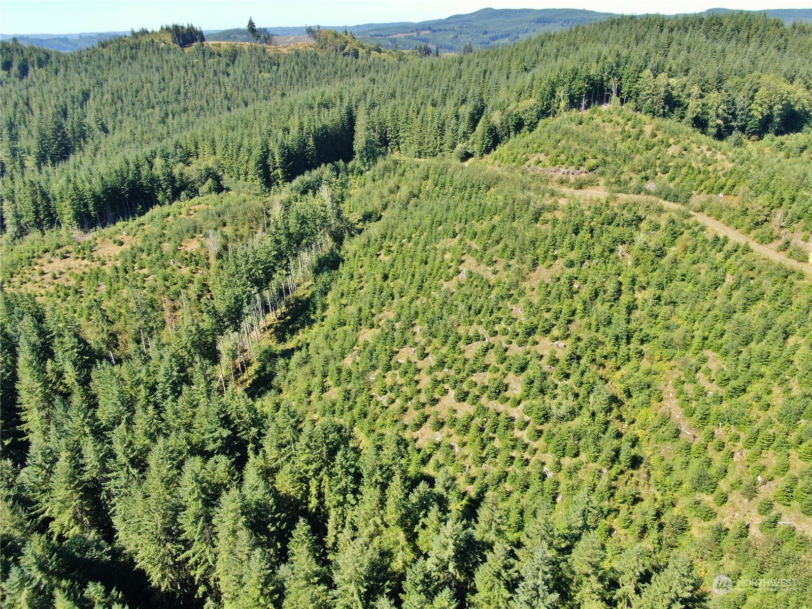 -off Of Lund Road Cosmopolis, WA 98537 - Photo 5 of 16