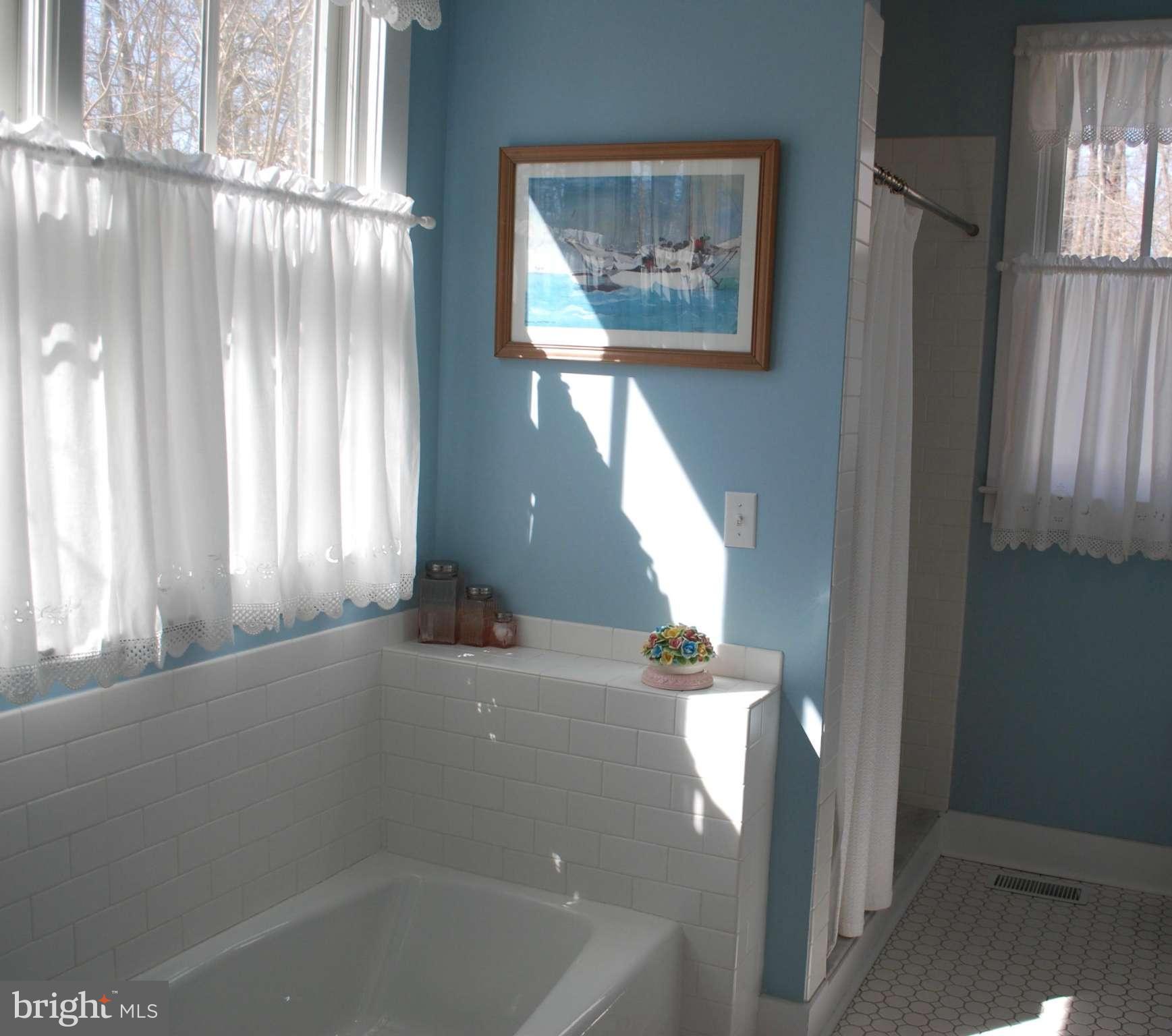 1656 Elk Forest Road Elkton, MD 21921 - Photo 23 of 30 Bath (Master)