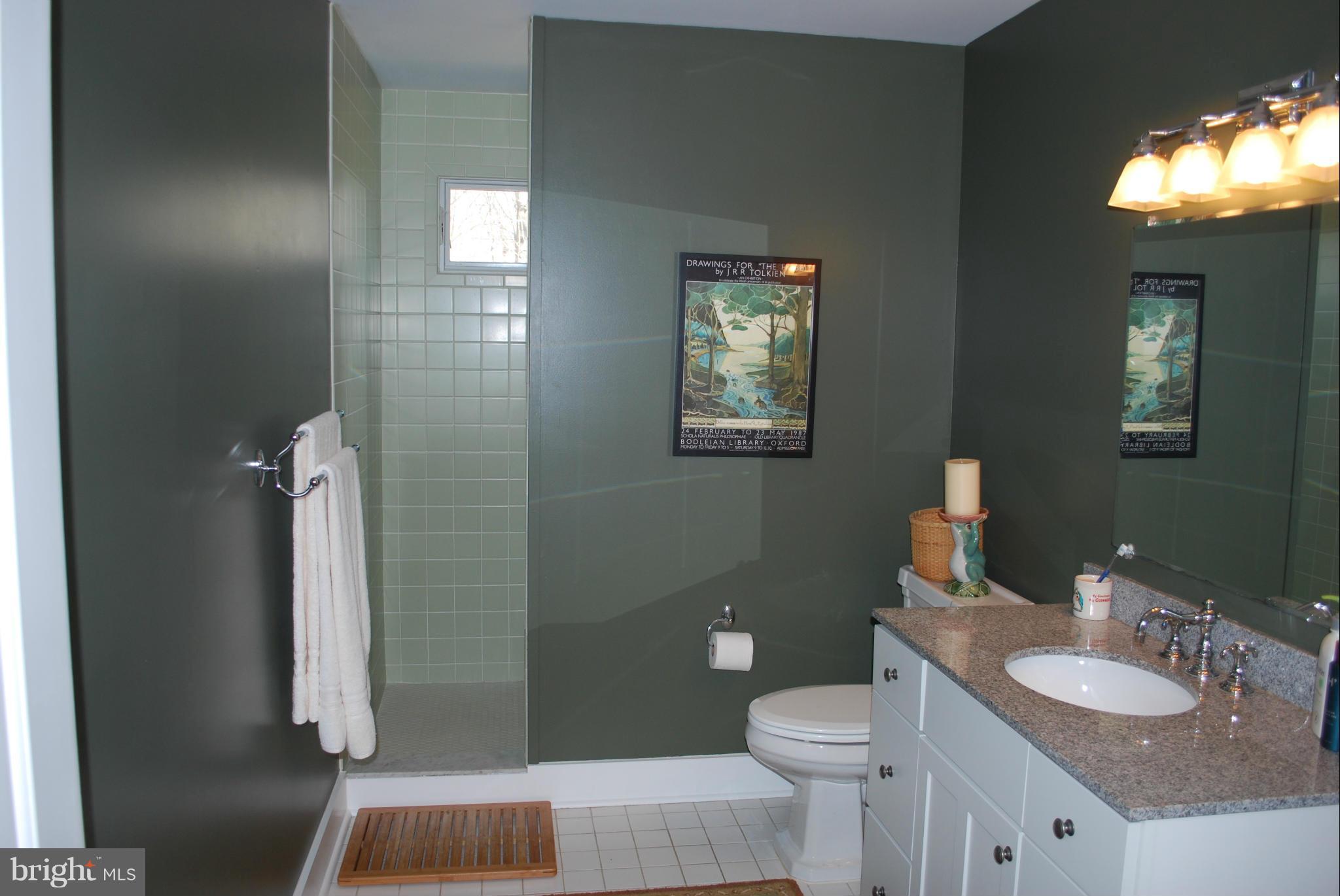 1656 Elk Forest Road Elkton, MD 21921 - Photo 27 of 30 Bath