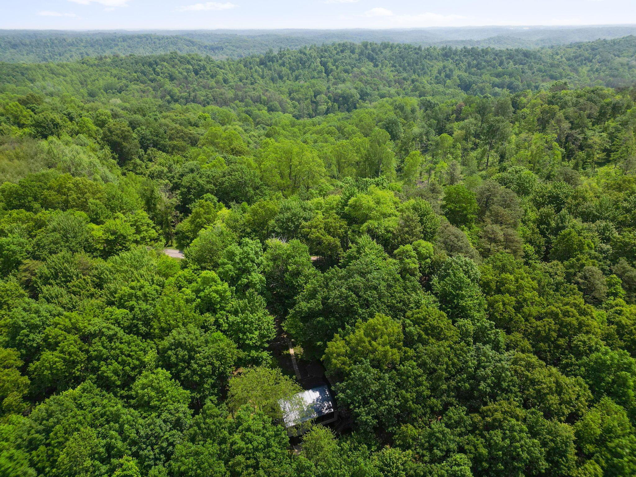 15031 Notestone Road Laurelville, OH 43135 - Photo 3 of 75 2-web-or-mls-DJI_0005