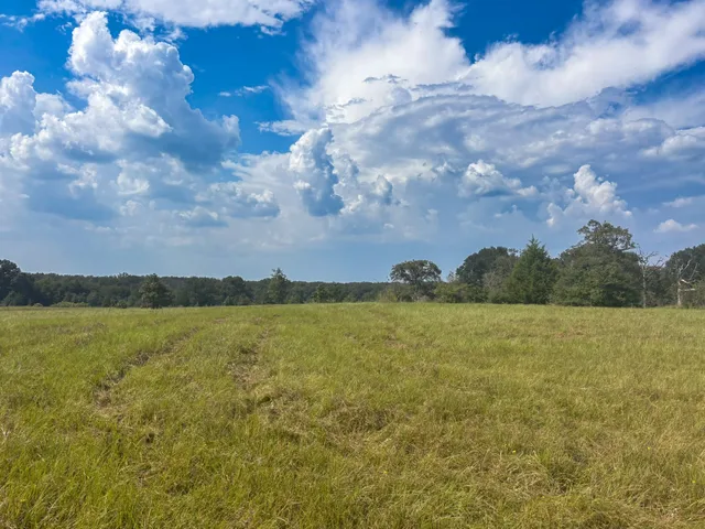 $270,000 | 298 County Road 410, Buffalo, TX 75831