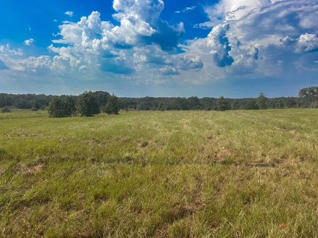 $270,000 | 298 County Road 410, Buffalo, TX 75831