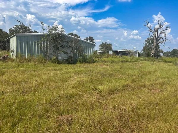a view of a garden