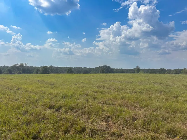 $270,000 | 298 County Road 410, Buffalo, TX 75831