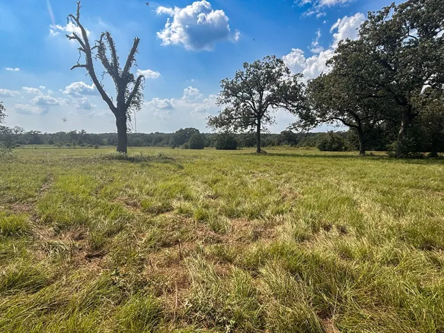 $270,000 | 298 County Road 410, Buffalo, TX 75831