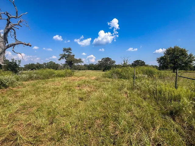 $270,000 | 298 County Road 410, Buffalo, TX 75831