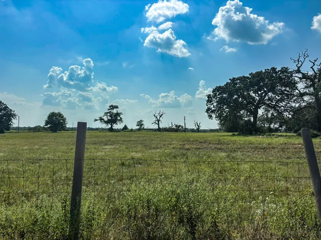 $270,000 | 298 County Road 410, Buffalo, TX 75831