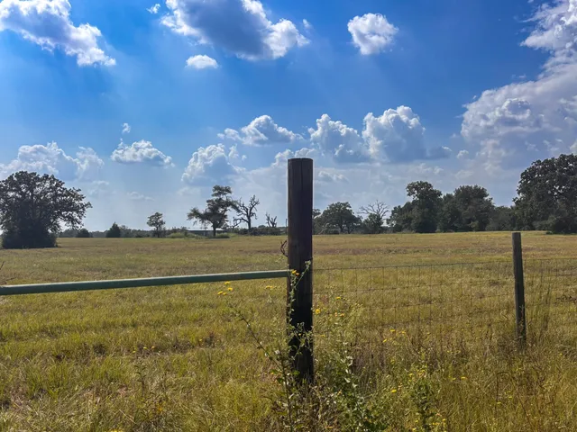 $270,000 | 298 County Road 410, Buffalo, TX 75831