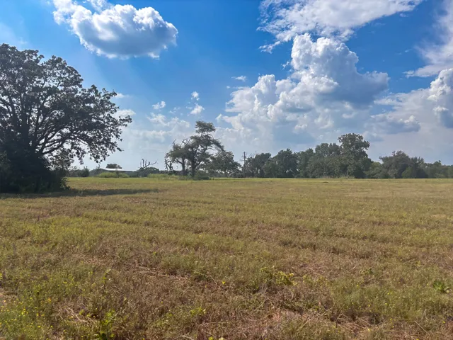 $270,000 | 298 County Road 410, Buffalo, TX 75831