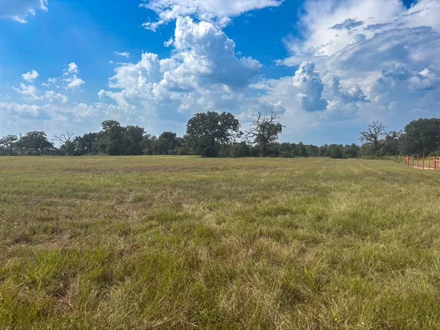 $270,000 | 298 County Road 410, Buffalo, TX 75831