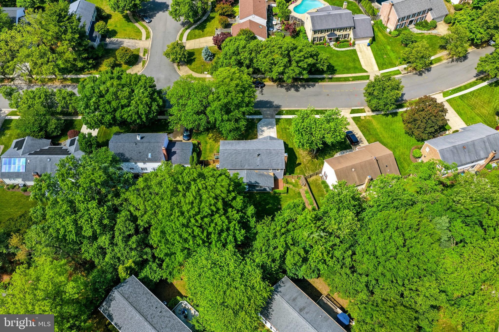 3901 Colonel Ellis Avenue Alexandria, VA 22304 - Photo 47 of 53